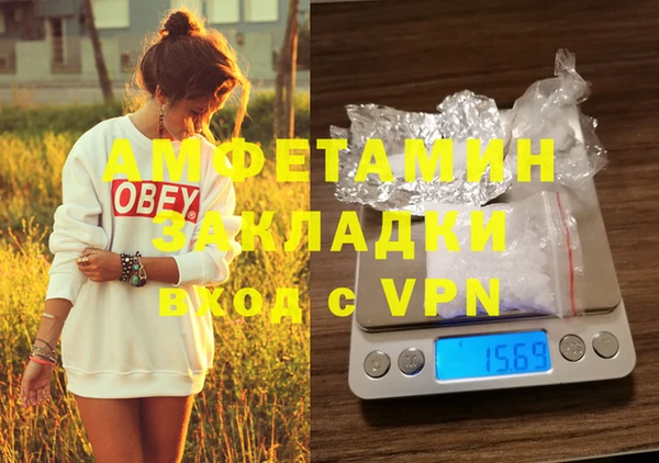 apvp Вяземский