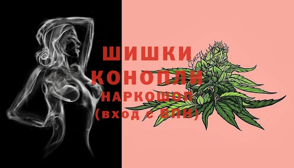 apvp Вяземский