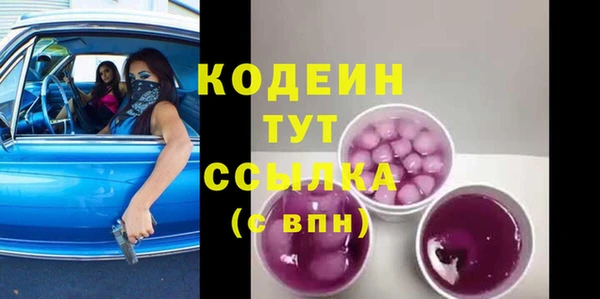 apvp Вяземский