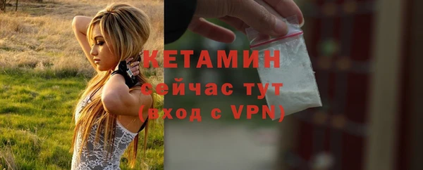 apvp Вяземский