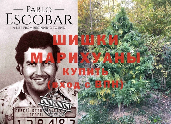 apvp Вяземский