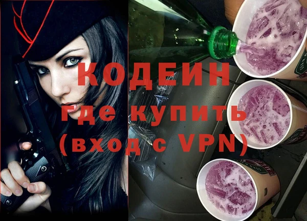 apvp Вяземский