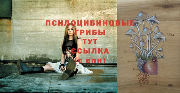 молекула духа Вязники