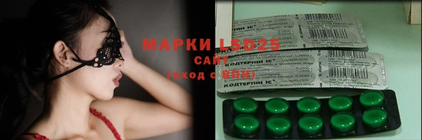 apvp Вяземский