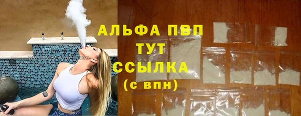 apvp Вяземский