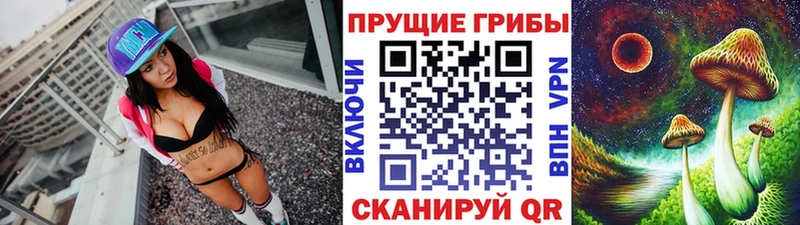 Купить закладки  Пикалёво  Галлюциногенные грибы мухоморы 