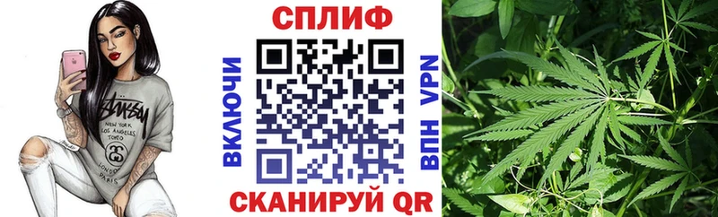 Купить  Пикалёво  Конопля ГИДРОПОН 
